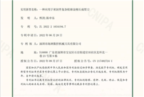 一种应用于密封件复杂轮廓金刚石成型刀(2022216341947)实用新型专利证书_51302_00